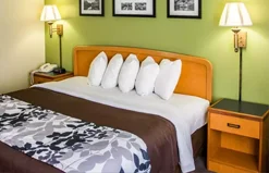 Luxury hotel rooms in Pineville LA